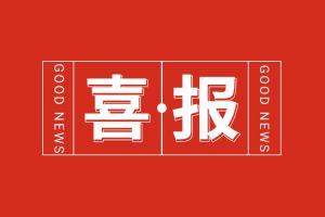 喜报！米兰（中国）集团党支部党建工作荣获多项市级表彰